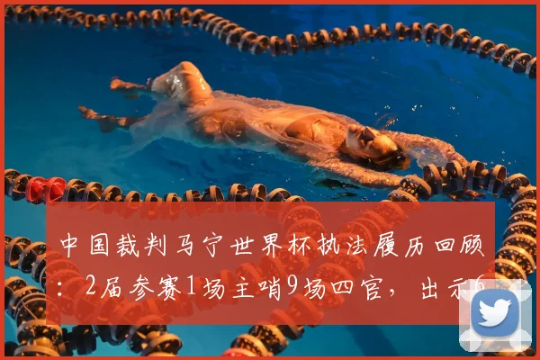 中国裁判马宁世界杯执法履历回顾：2届参赛1场主哨9场四官，出示6黄数据全解析